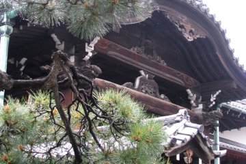 Fragment of the temple