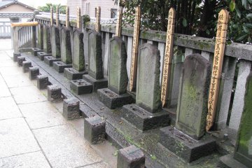 Another half of the graves' line