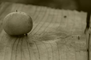 A fallen persimmon on a wooden bench