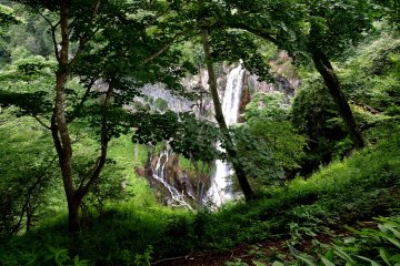 Waterfall glimpsed through the trees