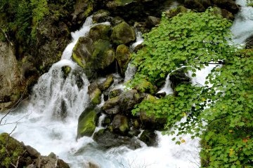 Water, rocks and moss