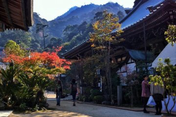 <p>Le Daisho-in est un bon endroit pour admirer le changement des saisons</p>
