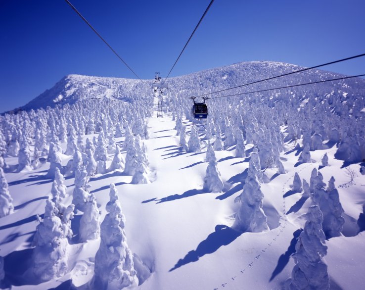 Snow monsters from Zao Ropeway