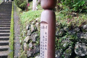 A familar almost face welcomes us to the start of the temple trail
