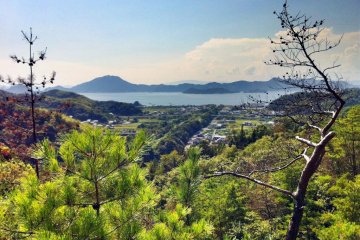 The view from the path to Oyamazumi Shrine