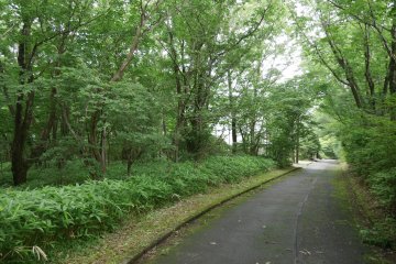 One of the many heavily wooded and refreshingly cool mountain side roads around the hotel.
