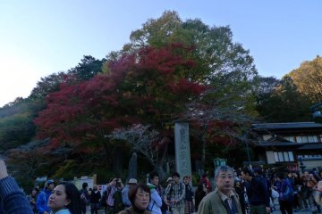Colors starting to change. Photo taken near the Chair lift and Cable car entrance