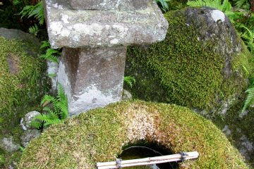 Traditional detail of Japanese garden