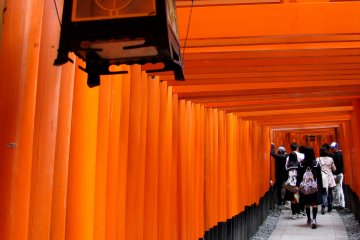 Torii passage in Fushimi Inari