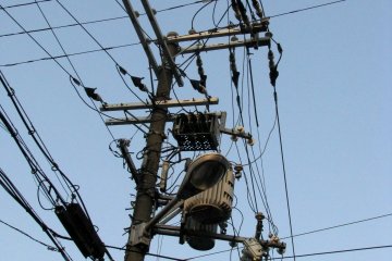 Cobwebs in Japan always amaze me!