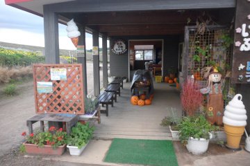Preparing for Halloween