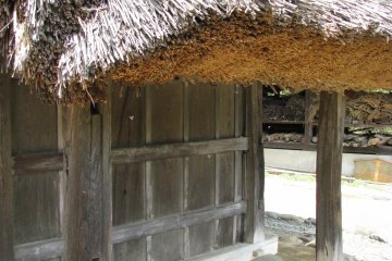 Straw roof is rather thick!
