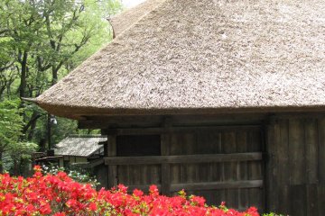 Most of old houses have straw roof