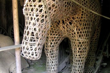 A horse model