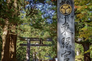 The bustling entrance to the world famous Toshogu Shrine
