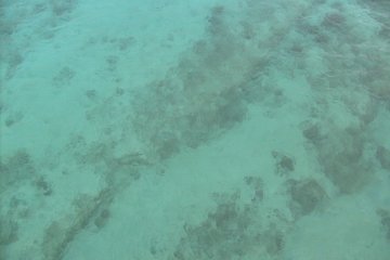 The seawater is this clear