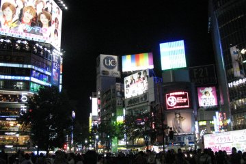 시부야 크로싱