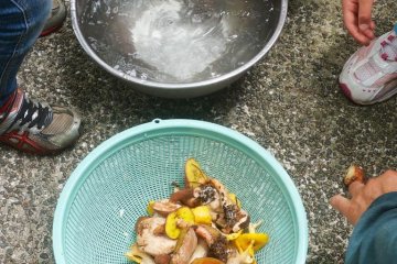 Semua orang saling membantu menyiapkan jamur untuk makan siang kami.