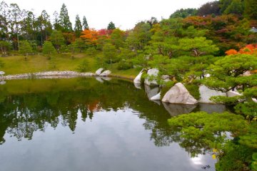View of the gardens from the entrance