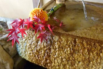 water fountain with autumn leaves