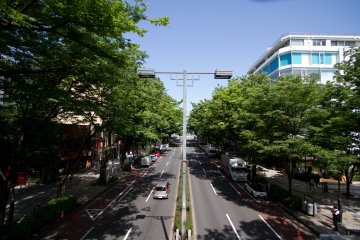 Omotesando