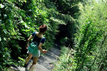 The way down