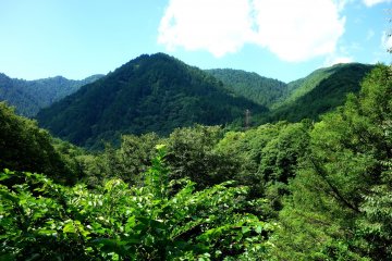 Surrounding nature