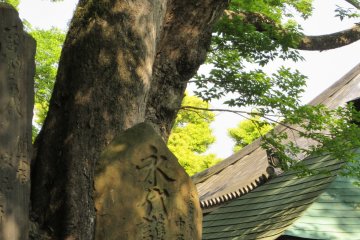 One of the corners