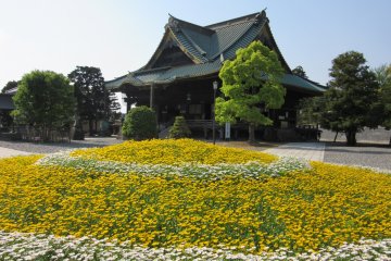 In Naritasan you can find different types of temples