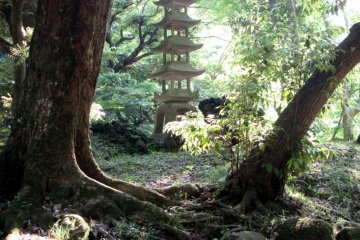 Spacious garden has many beautiful corners