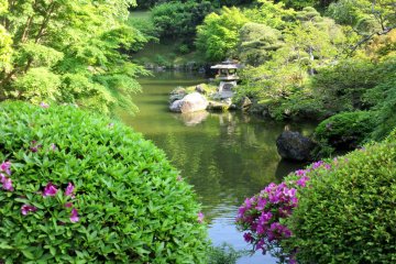 Japanese garden always suggests many views