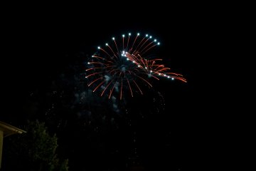 Fireworks resembling the hibiscus flower
