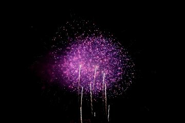 Fireworks resembling daffodils
