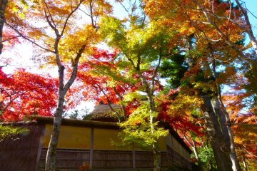 Hakone Museum of Art, Garden