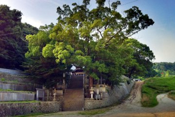 Kamo Shrine in Imabari