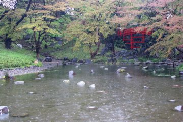 Di taman Jepang