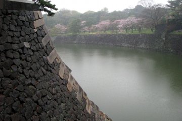 Imperial Garden