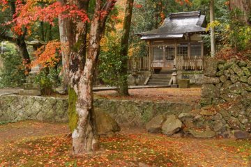 Takijiri-oji-Gateway of the Nakahechi-in Autumn