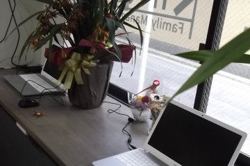 The shared PCs