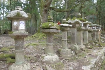 The path through the woods is flanked on either side with lanterns.