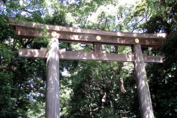 Torii of Meiji Jingu, Tokyo