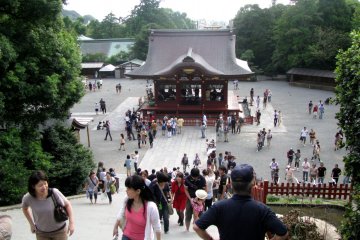 Hachimangu Jinja, Kamakura