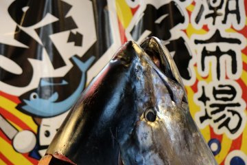 Tuna fish head after the filleting demonstration
