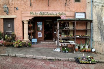 Take home a plant as a souvenir!