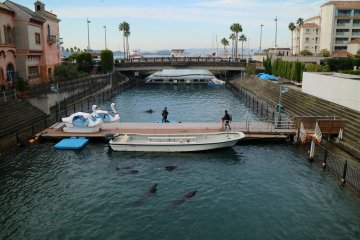 Keep your eyes out for dolphins!