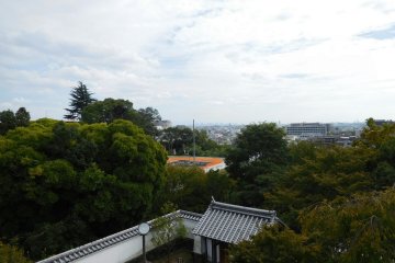 Castle views 