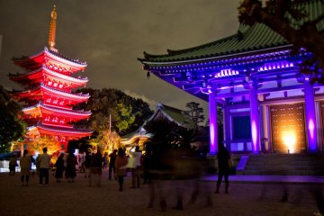 <p>Tocho-ji et la pagode illumin&eacute;s</p>
