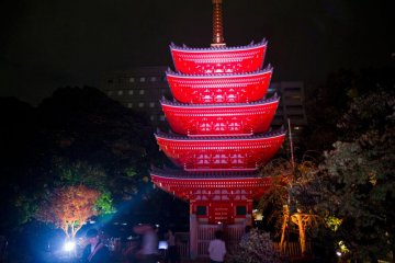 <p>La pagode de Tocho-ji</p>
