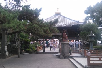 Tokushima Awakening