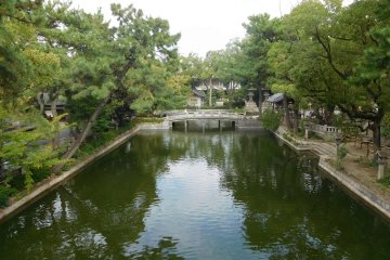 Picturesque vistas